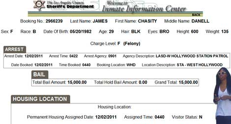 Chasity D. James Felony Arrest