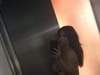 kim kardashian nude pregnant 3