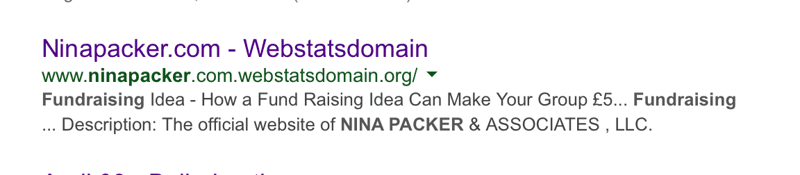 Nina Packer The Fund Raiser
