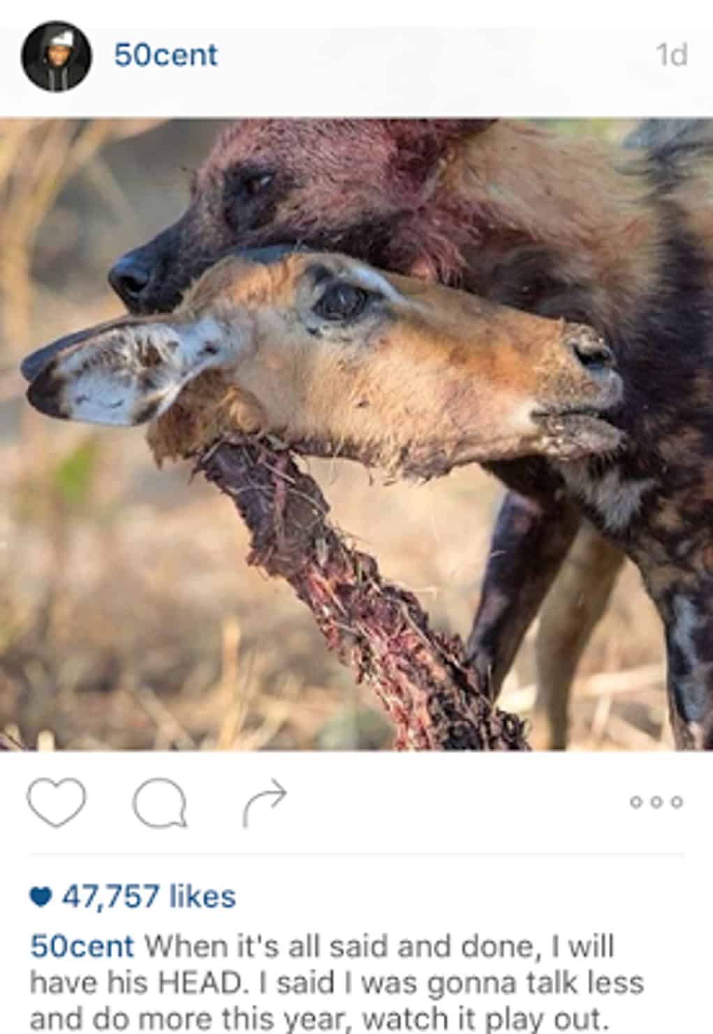 50 cent rick ross instagram hyena