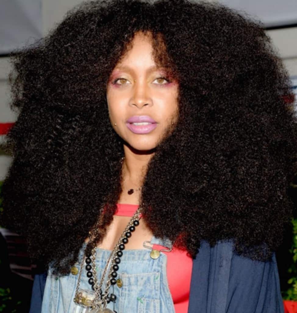 erykah badu tyrone chlean