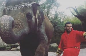 french-montana-pet-elephant