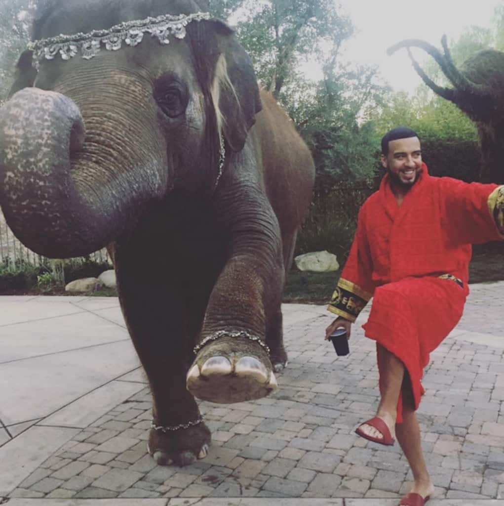 french-montana-pet-elephant