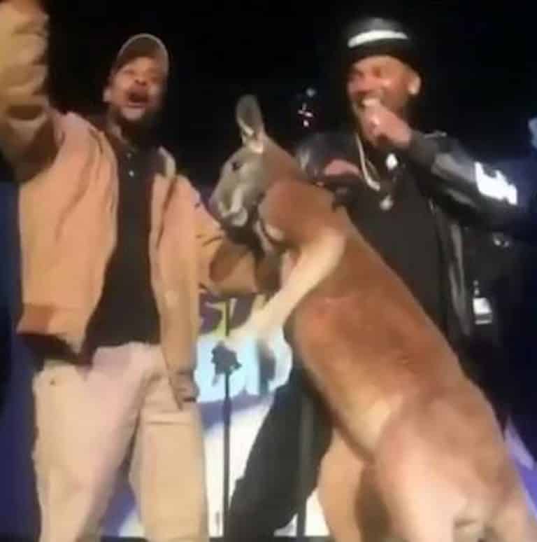 Feds Investigating Mike Epps’ Kangaroo Video