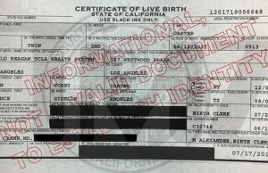 birth certificate beyonce