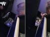 harvey weinstein pill popper