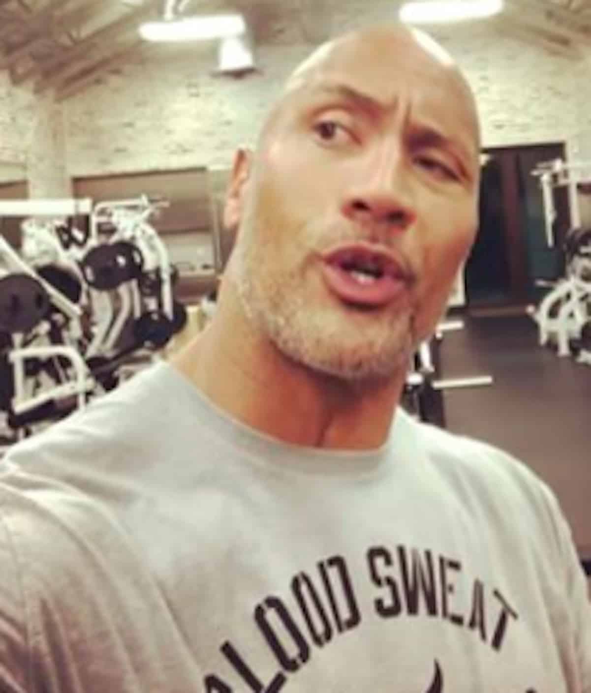 the rock black panther