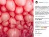 khloe kardashian baby true instagram