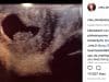 xxxtentacion girlfriend pregnant baby