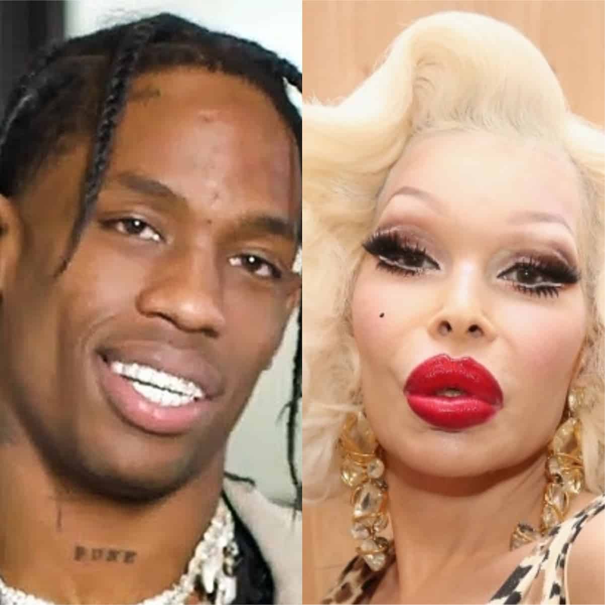 travis scott amanda lepore album