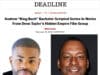 Deon Taylor's King Bach Zoom Pitch Disaster